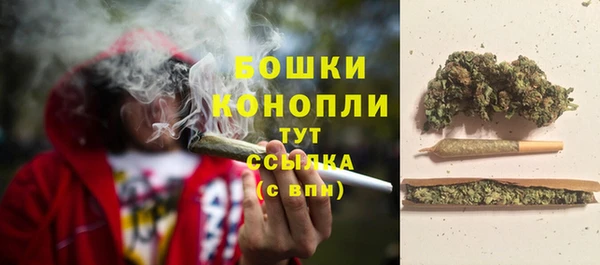 ешки Аркадак
