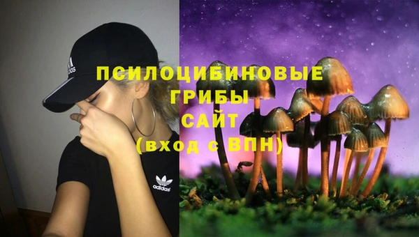 стафф Навашино