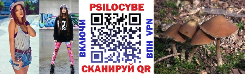сайты даркнета телеграм  Лодейное Поле  Галлюциногенные грибы Psilocybine cubensis 