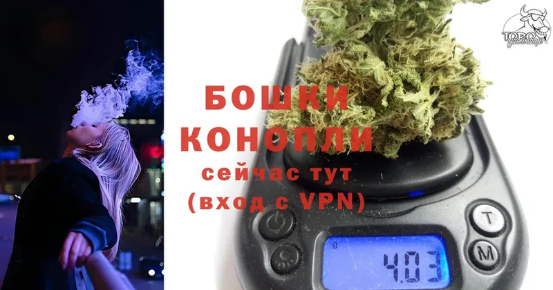 MEGA сайт  где купить наркотик  Лодейное Поле  Бошки марихуана THC 21% 